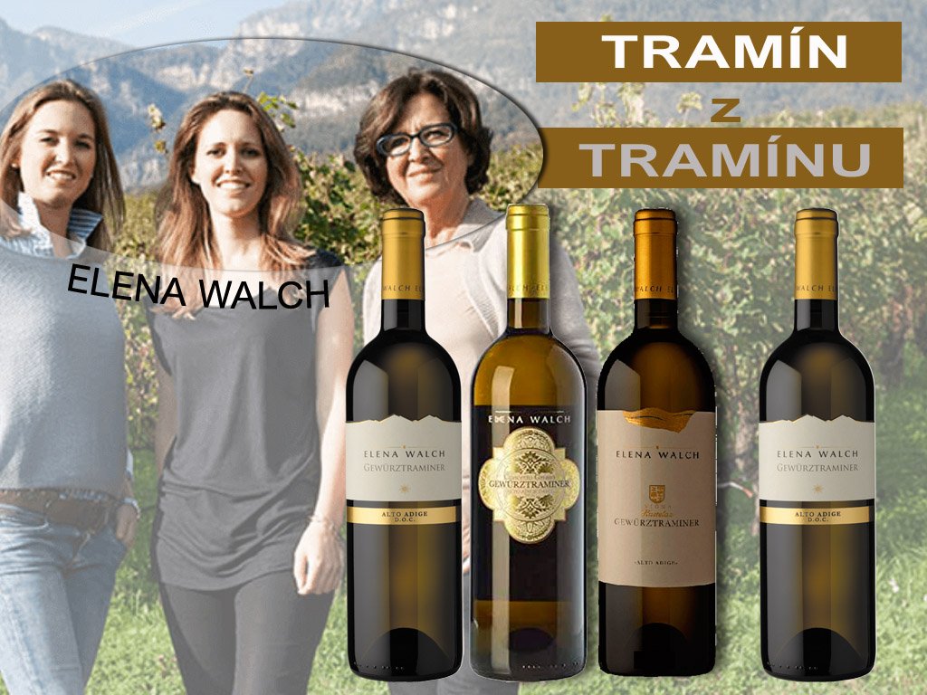 Tramín z Tramínu výběr